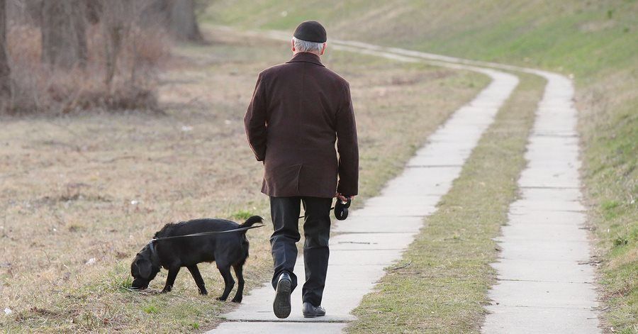 A man walking his dog thinking about Pet Trusts
