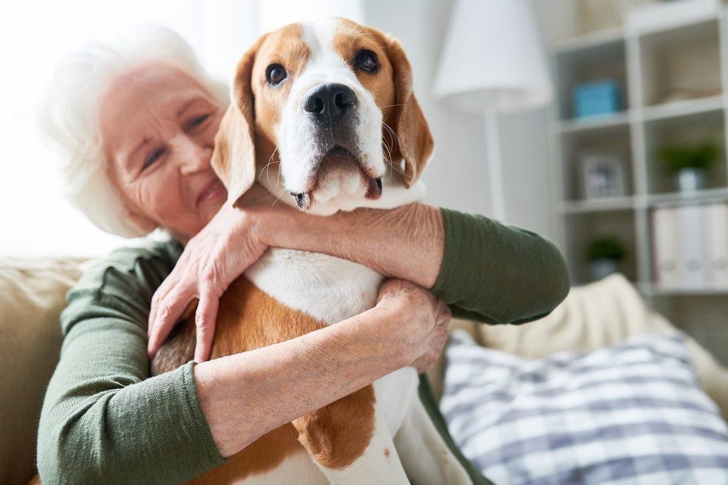 A happy elderly woman hugging her dog
